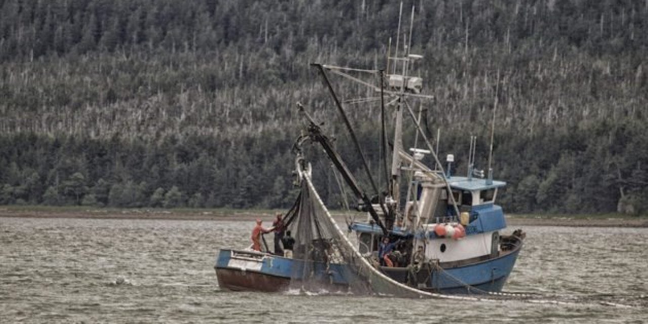 Fishing Deaths in Alaska Spike