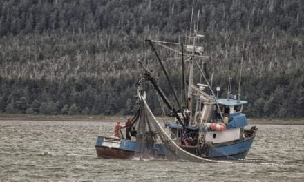 Fishing Deaths in Alaska Spike