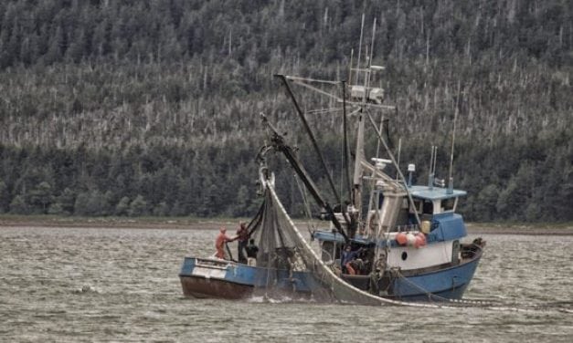 Fishing Deaths in Alaska Spike
