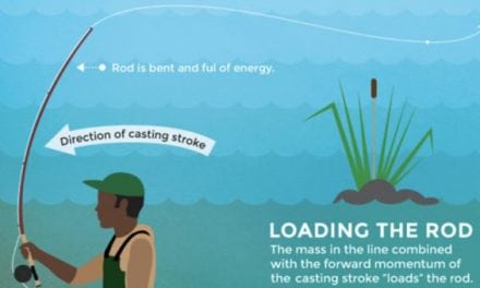 Fly Casting Infographic Offers Super Useful Pointers for Casting Excellence