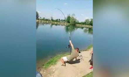 Foul Hooked Sturgeon Takes Double-Team to Land