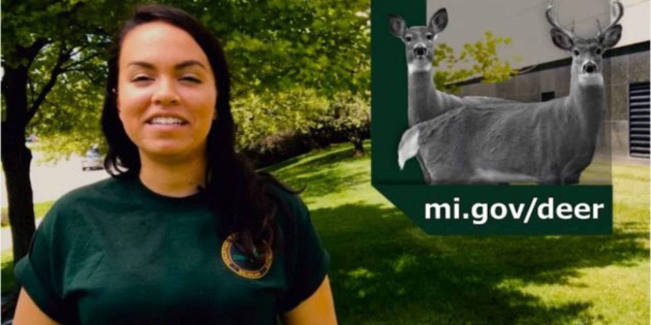 Here’s Michigan’s Early Antlerless Deer Season Explained Quickly and