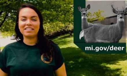 Here’s Michigan’s Early Antlerless Deer Season Explained Quickly and Easily