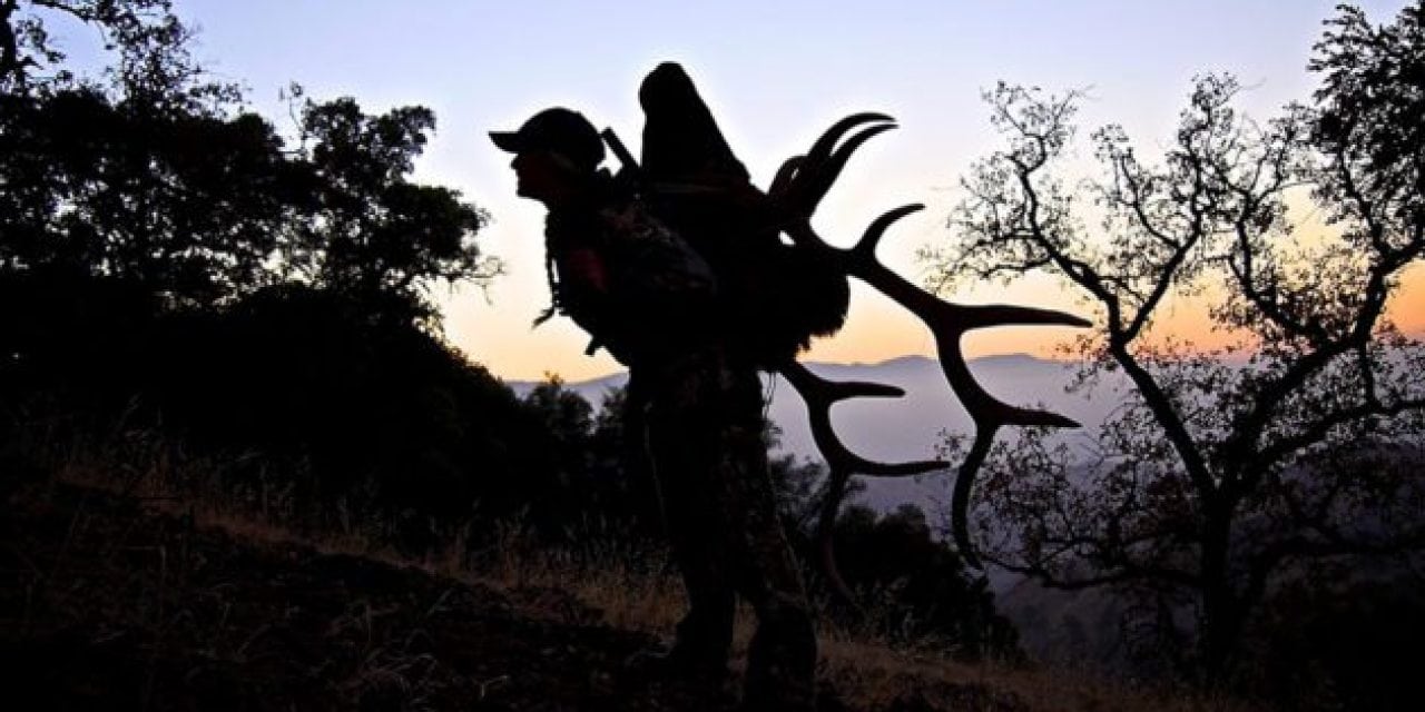 Here’s Some Great General Elk Hunting Tips From Kristy Titus