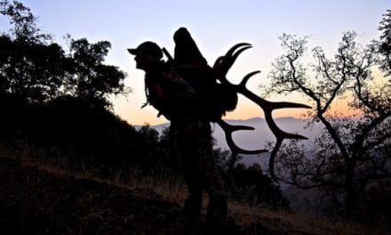 Here’s Some Great General Elk Hunting Tips From Kristy Titus