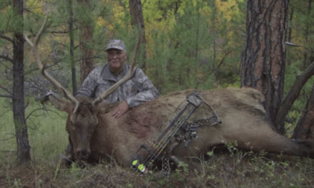 ‘Home’ Film Embraces the Pure Joy of Elk Hunting