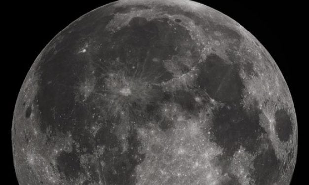 How Does Moonlight Affect Deer Movement?