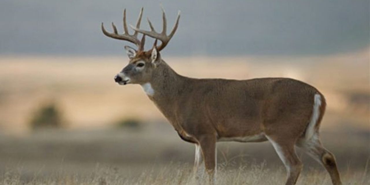 Know How to Score a Deer? You Could Win Over $1,000 in Hunt Gear!