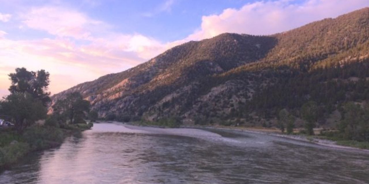 Late July on the Yellowstone River and We Found Rainbow Trout