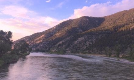 Late July on the Yellowstone River and We Found Rainbow Trout