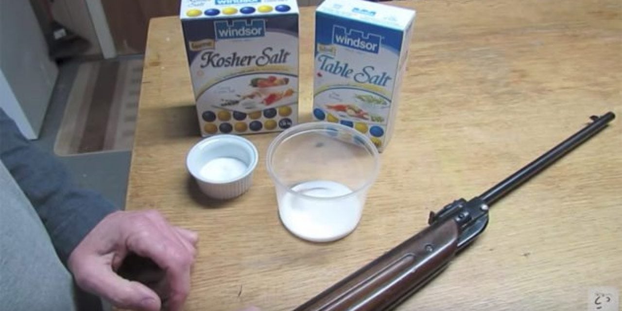 Make a $3 Bug-A-Salt Out of Your Pellet Rifle