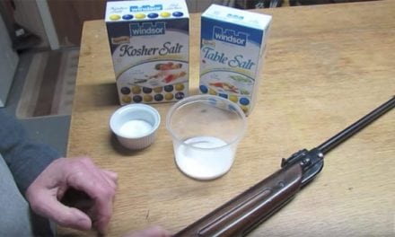 Make a $3 Bug-A-Salt Out of Your Pellet Rifle