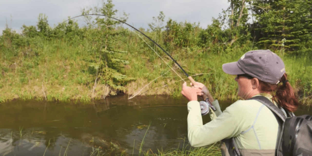 Nemo and Dory vs. Northern Pike, the Orvis Way