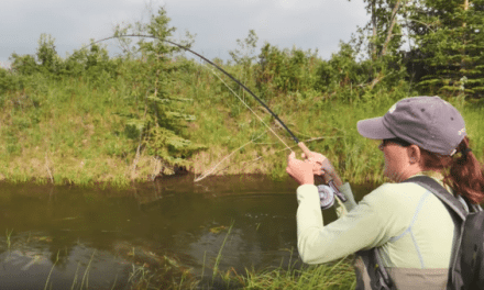 Nemo and Dory vs. Northern Pike, the Orvis Way