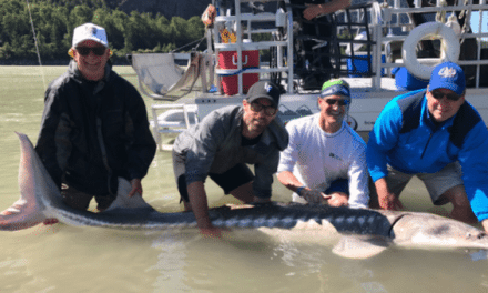 NHL Players Hook Monster ‘Dino Fish’ at Andrew Ladd’s Fishing Tournament
