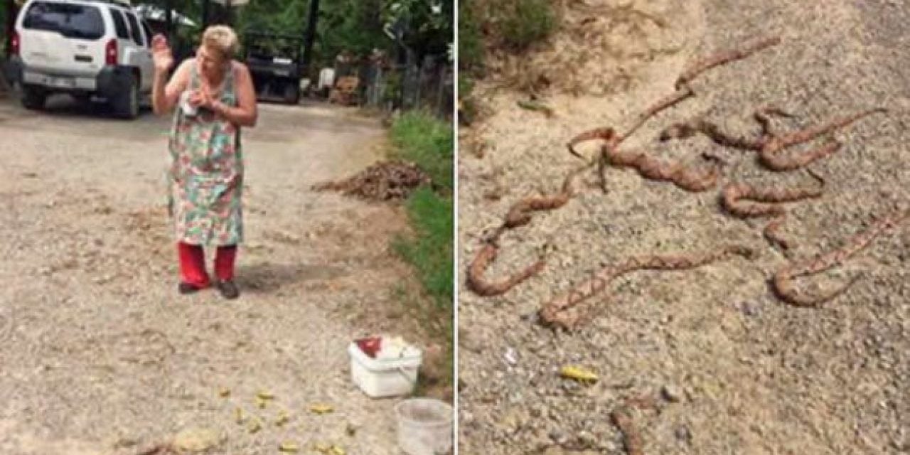 Oklahoma Granny Kills 11 Copperheads, Then Goes Back for More
