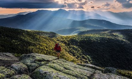 Photo Of The Day By Harry Lichtman