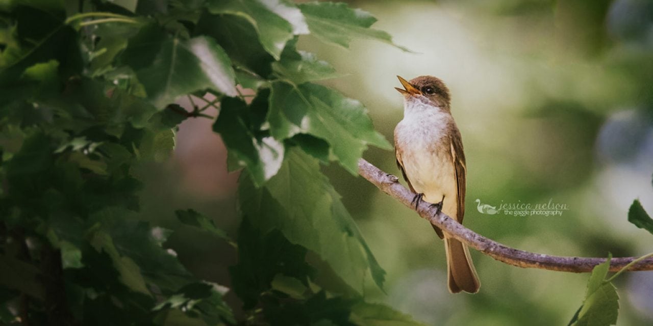 Photo Of The Day By Jessica Nelson