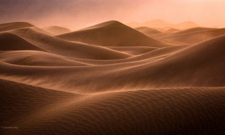 Photo Of The Day By Sangeeta Dey