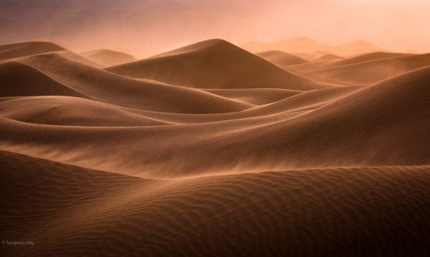 Photo Of The Day By Sangeeta Dey