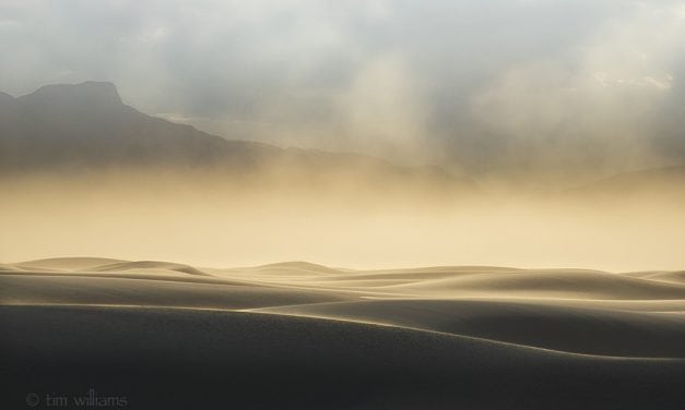 Photo Of The Day By Tim Williams