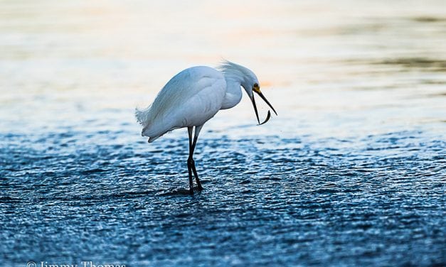 Photographer Profile: Jimmy Thomas