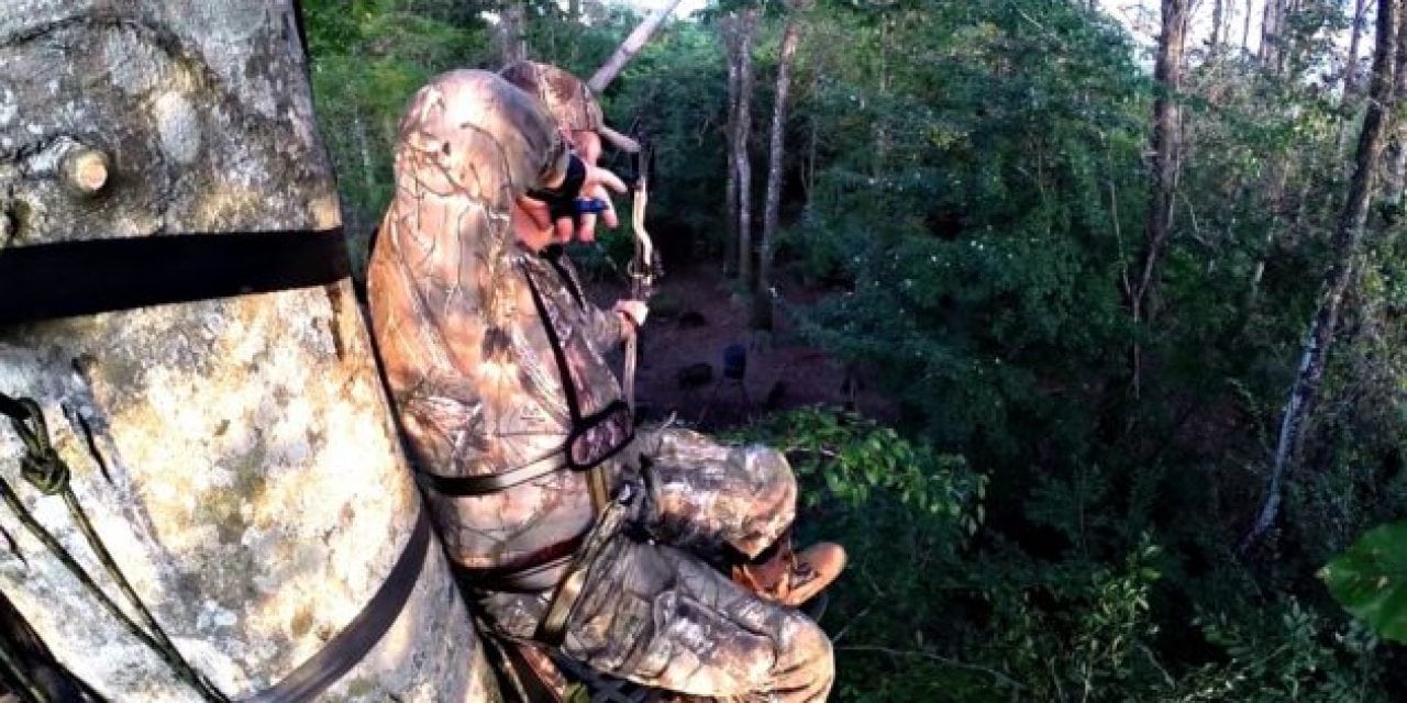 Pigman Smokes Jumbo Hog From Sky High in Treestand