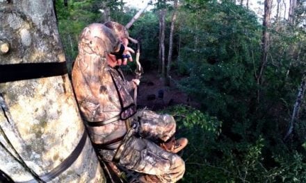 Pigman Smokes Jumbo Hog From Sky High in Treestand