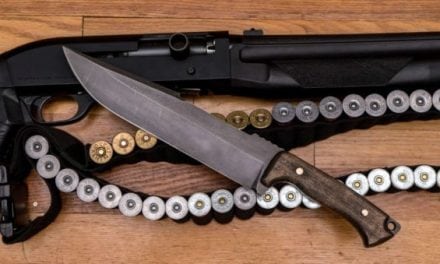 Senator Wants to Designate a State Gun and a State Knife