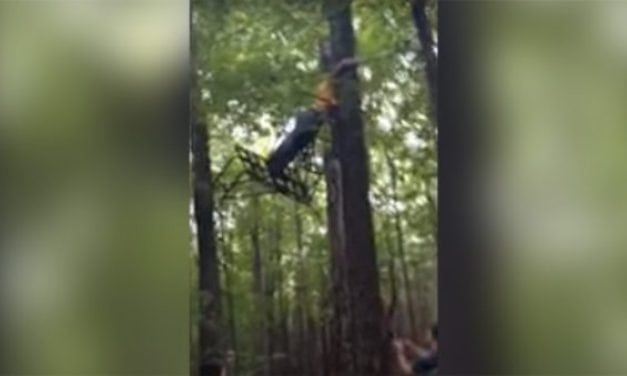The 3 Stooges of Treestand Setup Show You How it’s Done Wrong