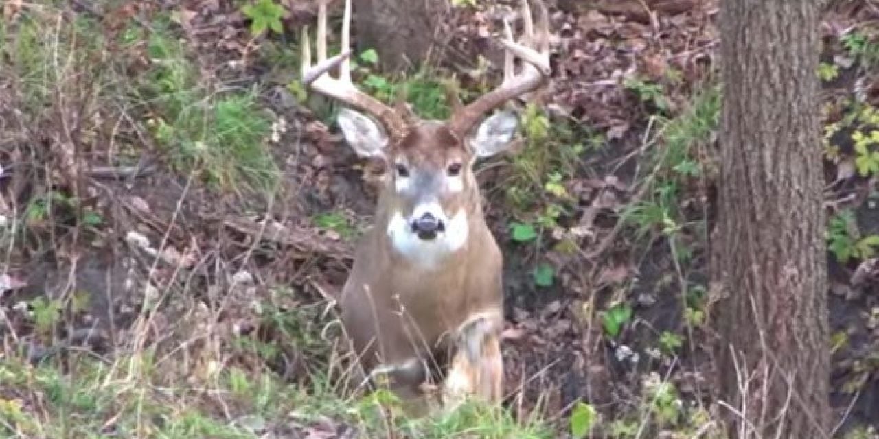 The Can Opener: Mike Klemmensen Opens Up a 156″ Brute!