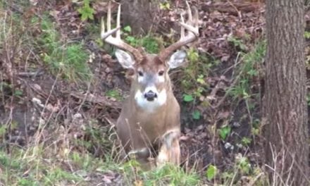 The Can Opener: Mike Klemmensen Opens Up a 156″ Brute!