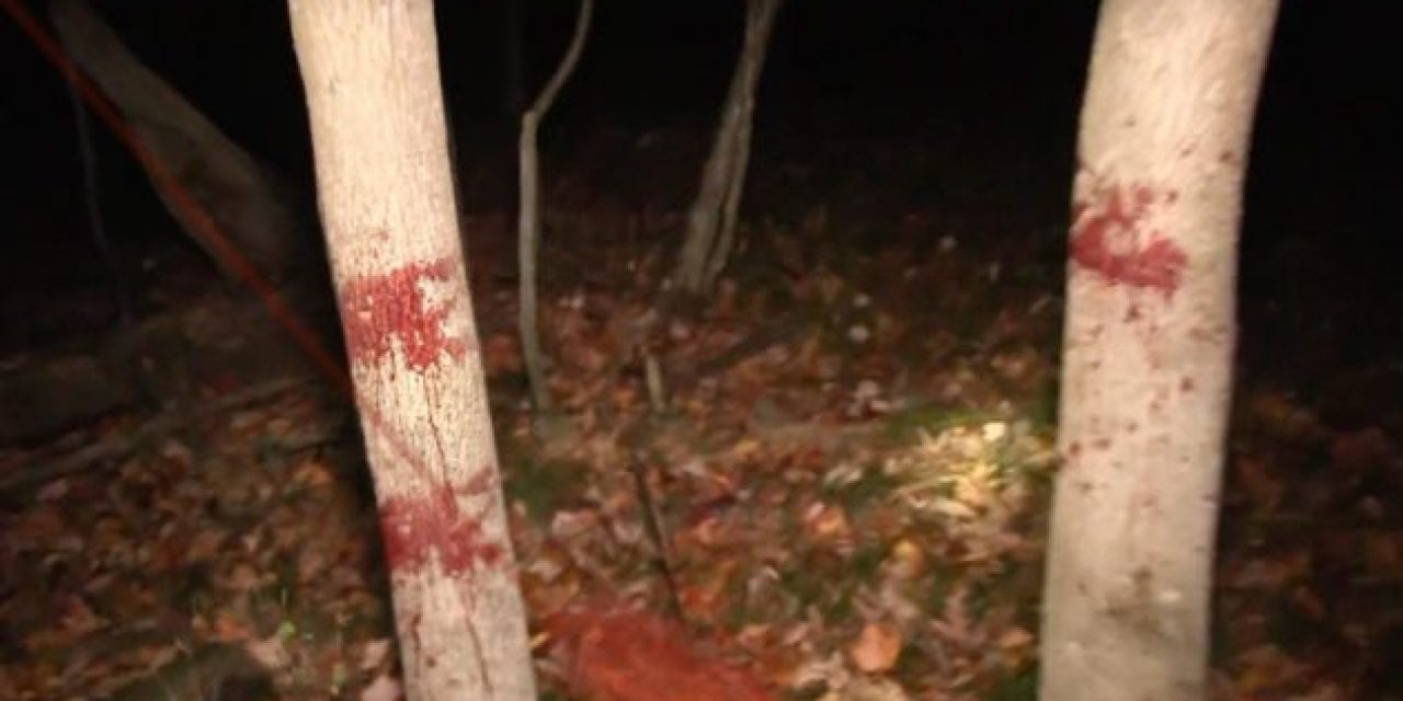 This Crazy Blood Trail Will Get You Excited for Hunting Season