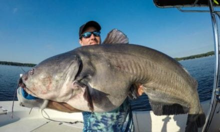 This Mind-Blowing 102-Pound Blue Catfish Truly is a Behemoth