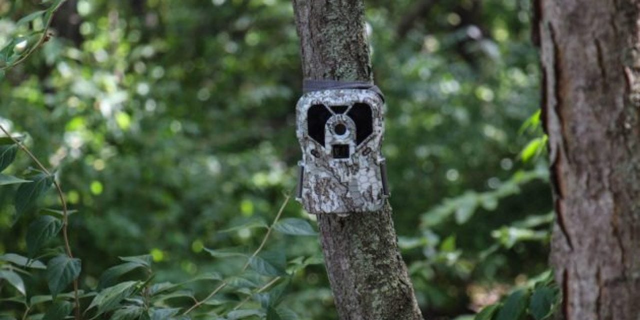 Trail Camera Review: Exodus Lift Mark II