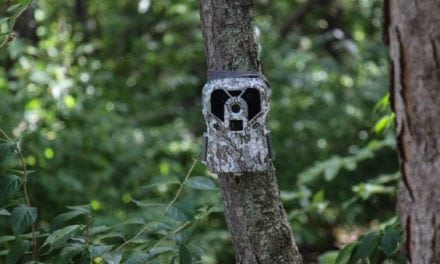 Trail Camera Review: Exodus Lift Mark II