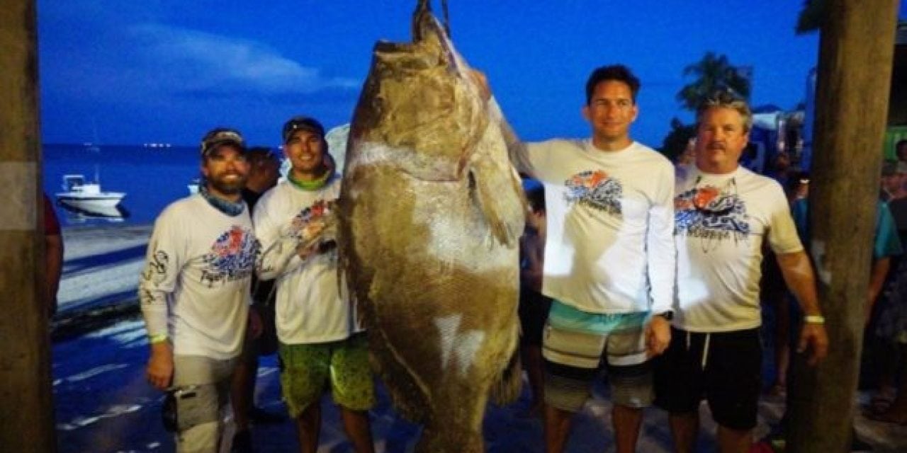 Video: Could This 409-Pound Warsaw Grouper be the New World Record?