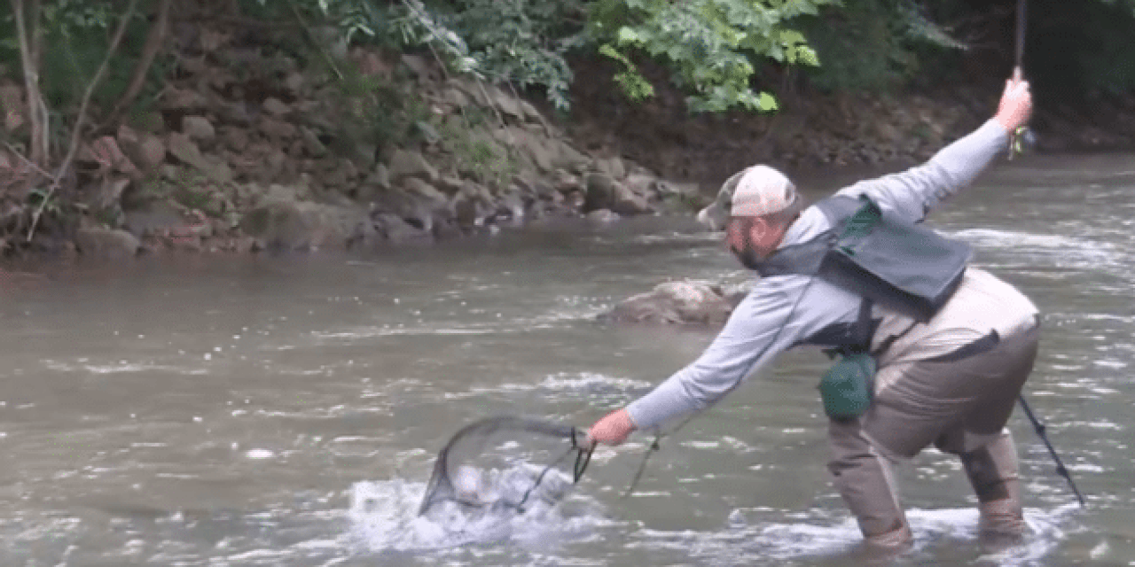 VIDEO: Fishing Muddy Water Can Land You a Lunker
