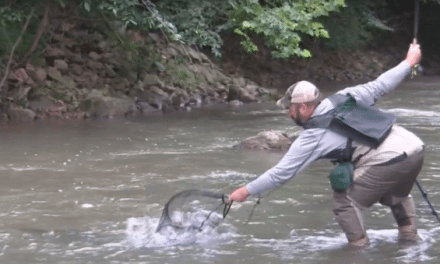 VIDEO: Fishing Muddy Water Can Land You a Lunker
