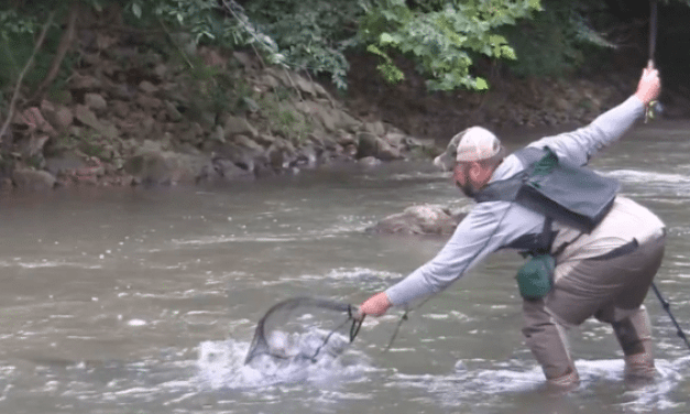 VIDEO: Fishing Muddy Water Can Land You a Lunker