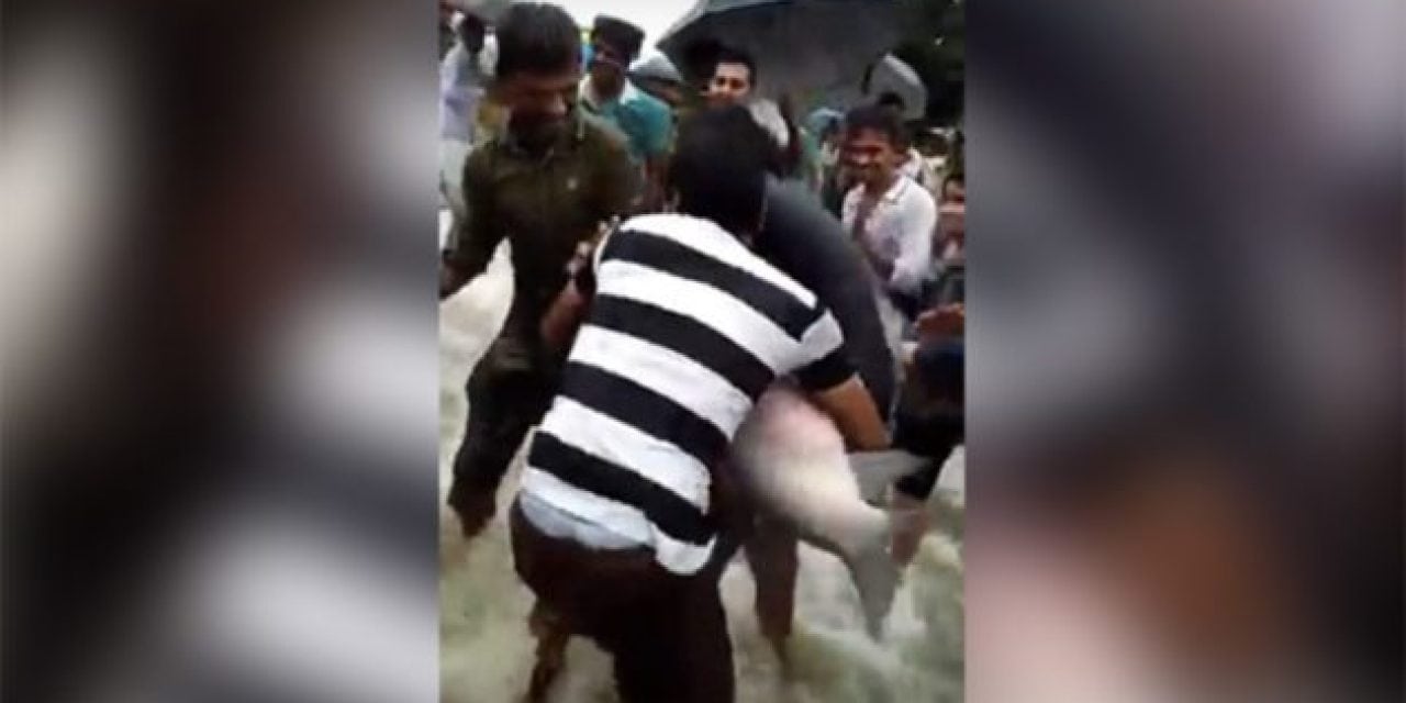 VIDEO: Floods in India Brought These Huge Fish to the Naitonal Highway