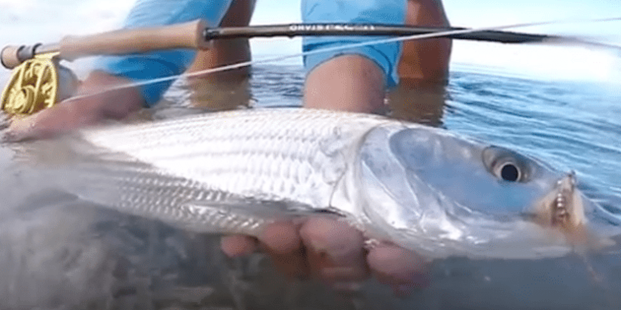 VIDEO: Here’s a Bonefishing Video Showing Why it’s One of the Best Kinds of Fishing