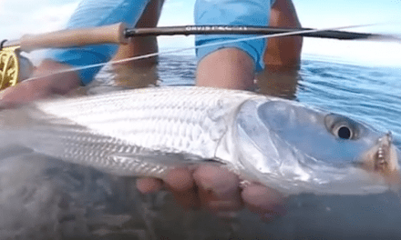 VIDEO: Here’s a Bonefishing Video Showing Why it’s One of the Best Kinds of Fishing