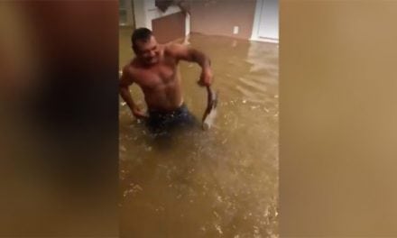 Video: Hurricane Harvey Delivers Fish to Family’s Living Room