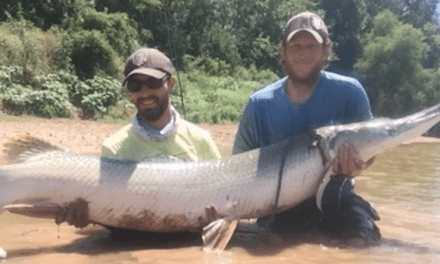 VIDEO: Landing a Massive Gar is Not as Easy as This Looks