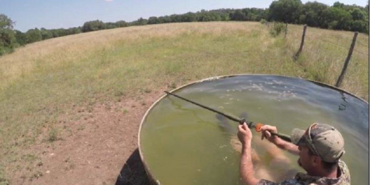 Video: Tim Wells Submerges Himself in Water… to Take a Ram with a Blowgun