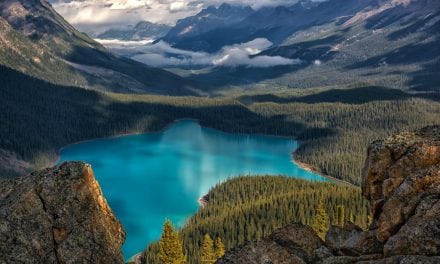 View From The Top Assignment Winner Philip Kuntz