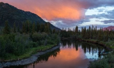 Want Free Land to Hunt and Farm? The Yukon is Calling…