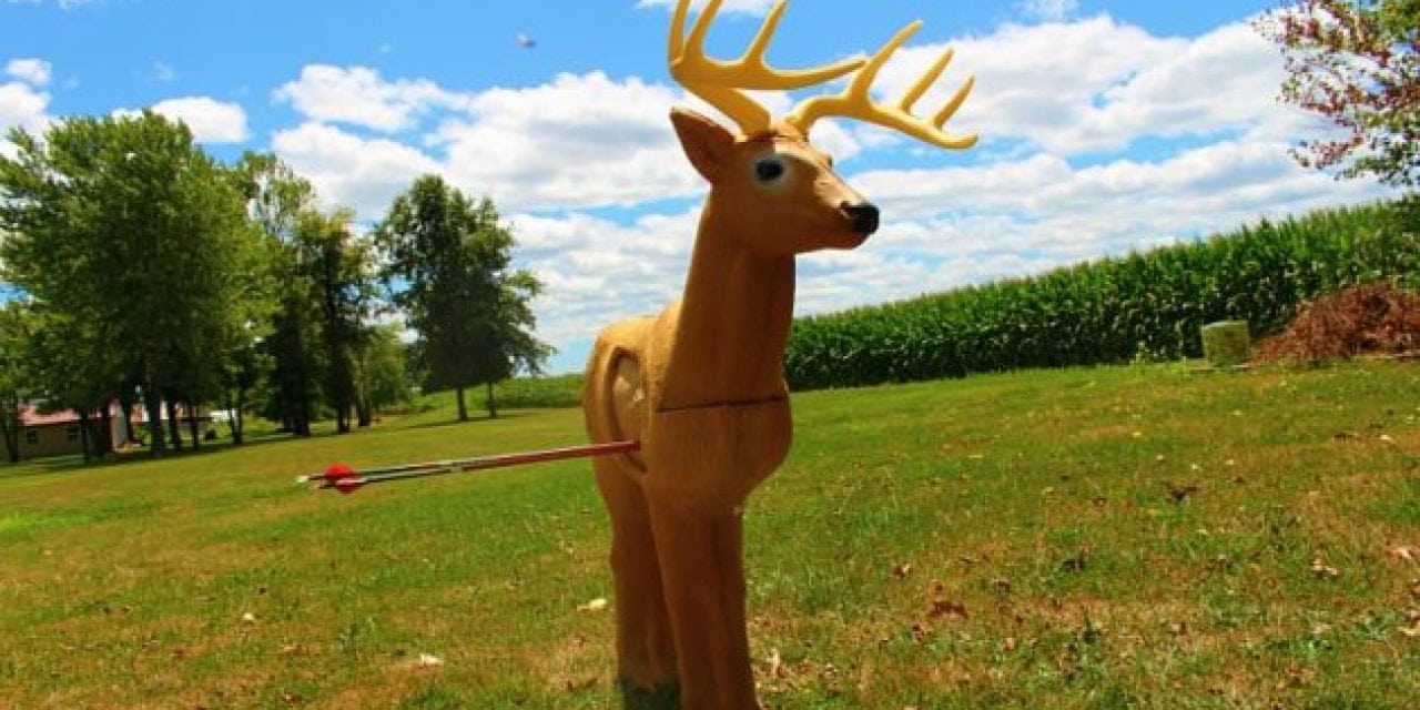 Want to Spice Up Your Archery Practice? Check Out This Rinehart Woodland Buck Target