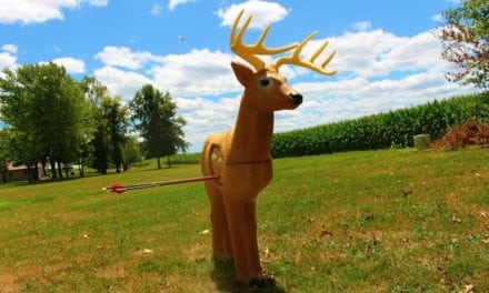 Want to Spice Up Your Archery Practice? Check Out This Rinehart Woodland Buck Target